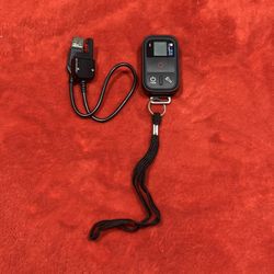 GoPro Smart Remote 