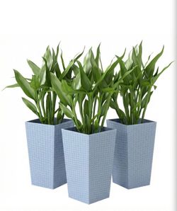 3 Piece 24" Tall Planters with Drainage Holes, Light Gray