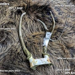 3 Pt Antlers