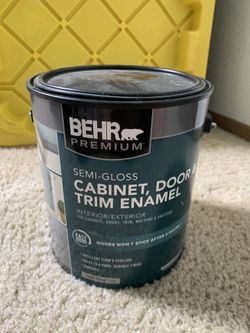 Behr Interior Paint + Primer Brown