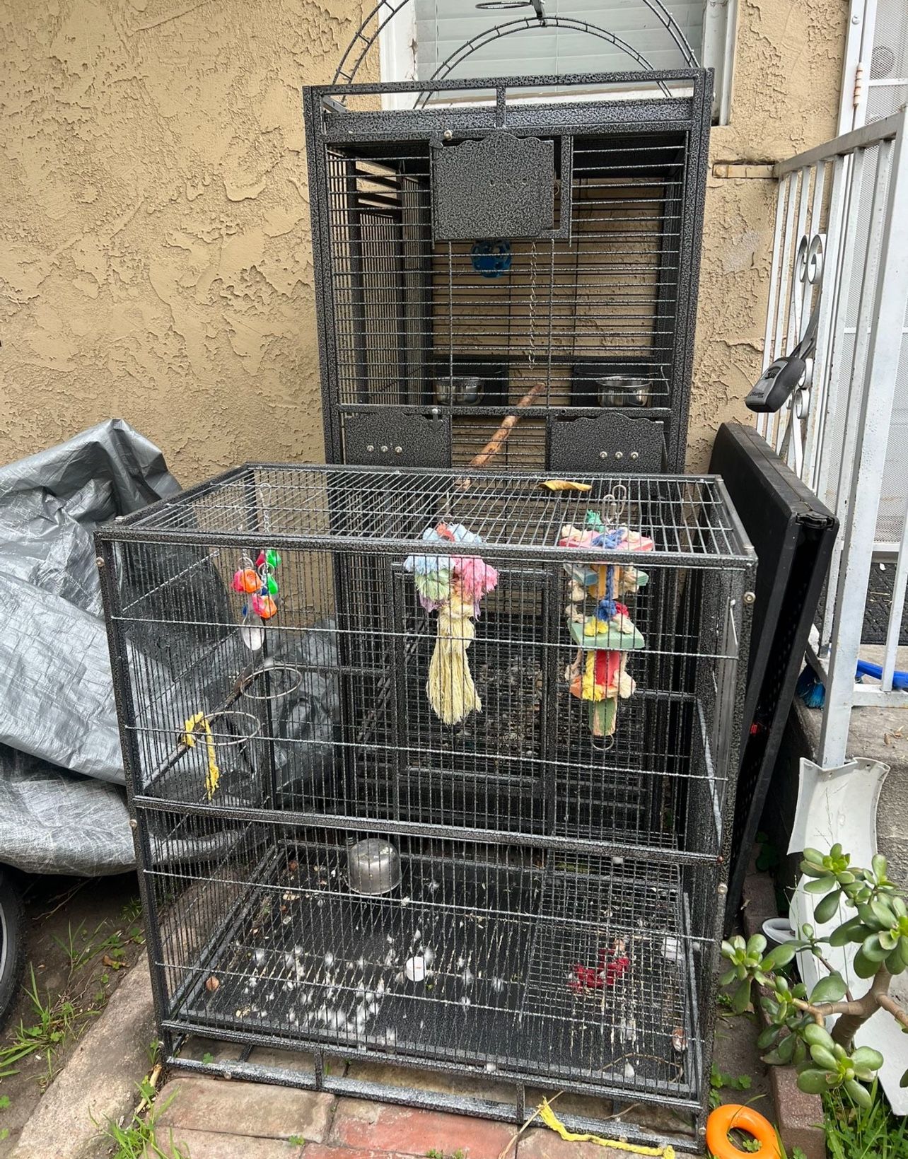Bird Cage