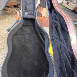 Orion guitar case