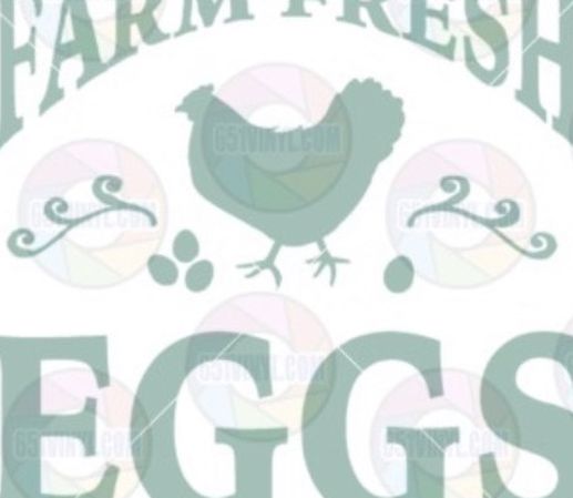 Fresh Eggs Daily Vancleave,ms