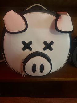 2 backpacks 1 purse