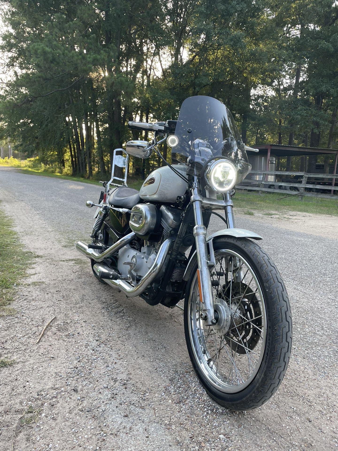 2008 Harley Davidson Custom 883