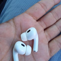 Apple Earbuds 