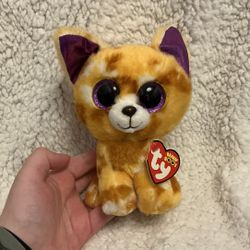 Ty Beanie Boo “Pablo” the Chihuahua Dog 6” 