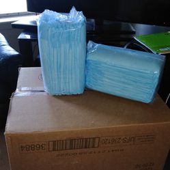 Caja De Pads Azules   Con 120 Pz  