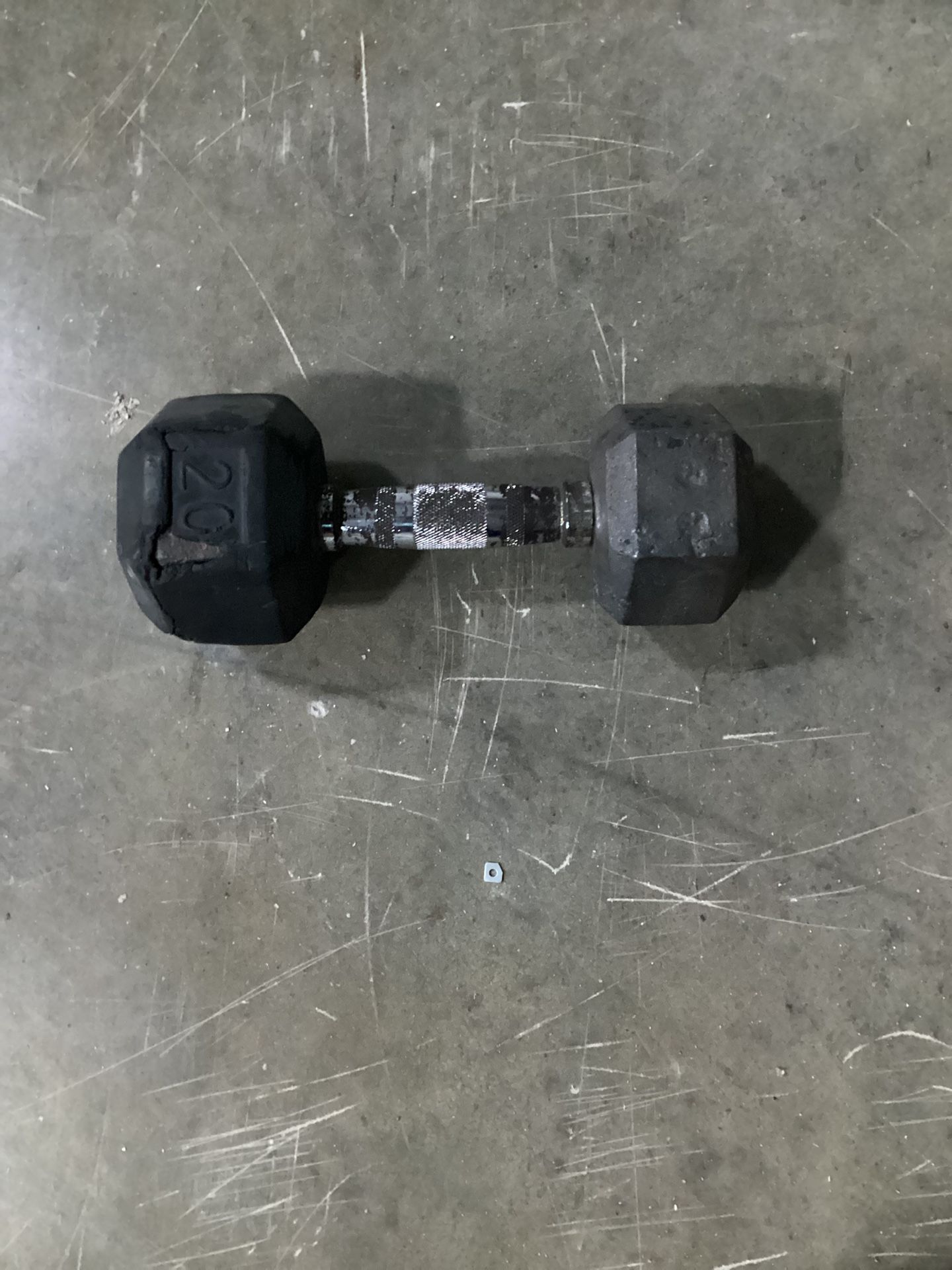 20 Lb Dumbell