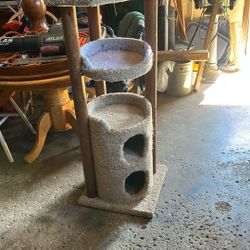 Cat Perch