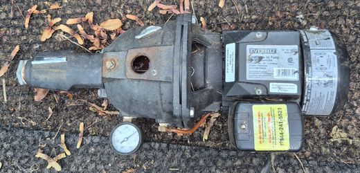 Everbilt well pump DP550C