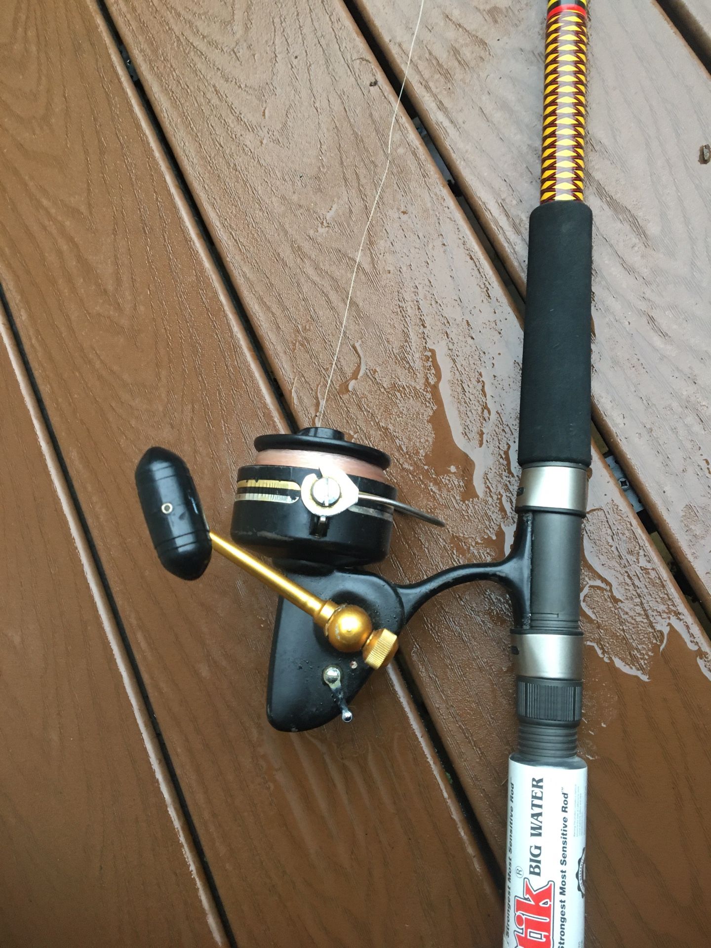 Fishing rod and reel