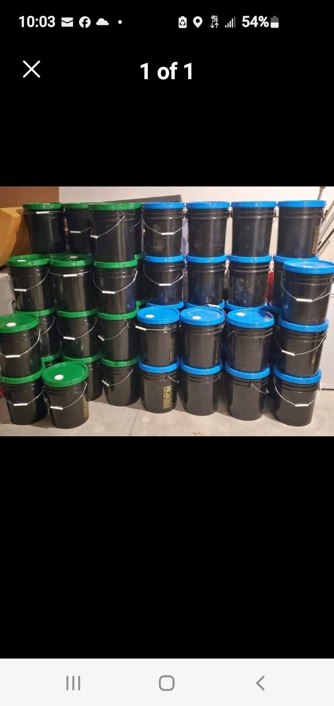 Bulk 5 Gallon Laundry Detergent TIDE/GAIN