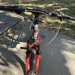Rallye Bike 