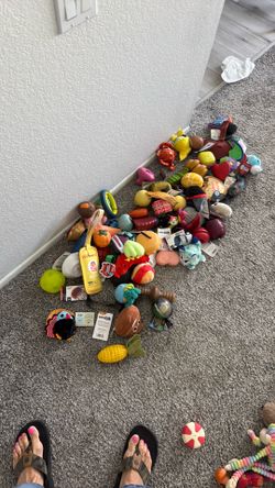 Dog toys
