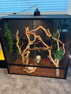 Large Reptile Terrarium with Accessories