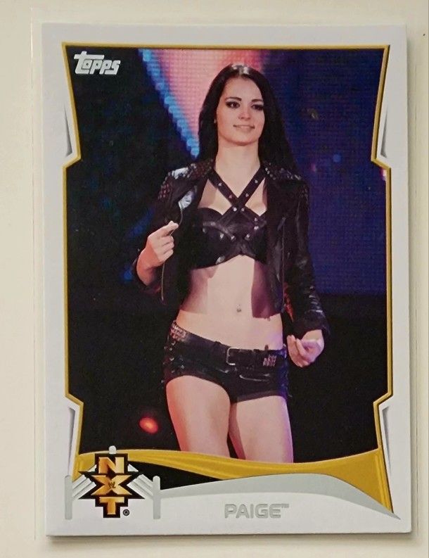 2014 Topps WWE NXT Paige Rookie Card 14 Of 20