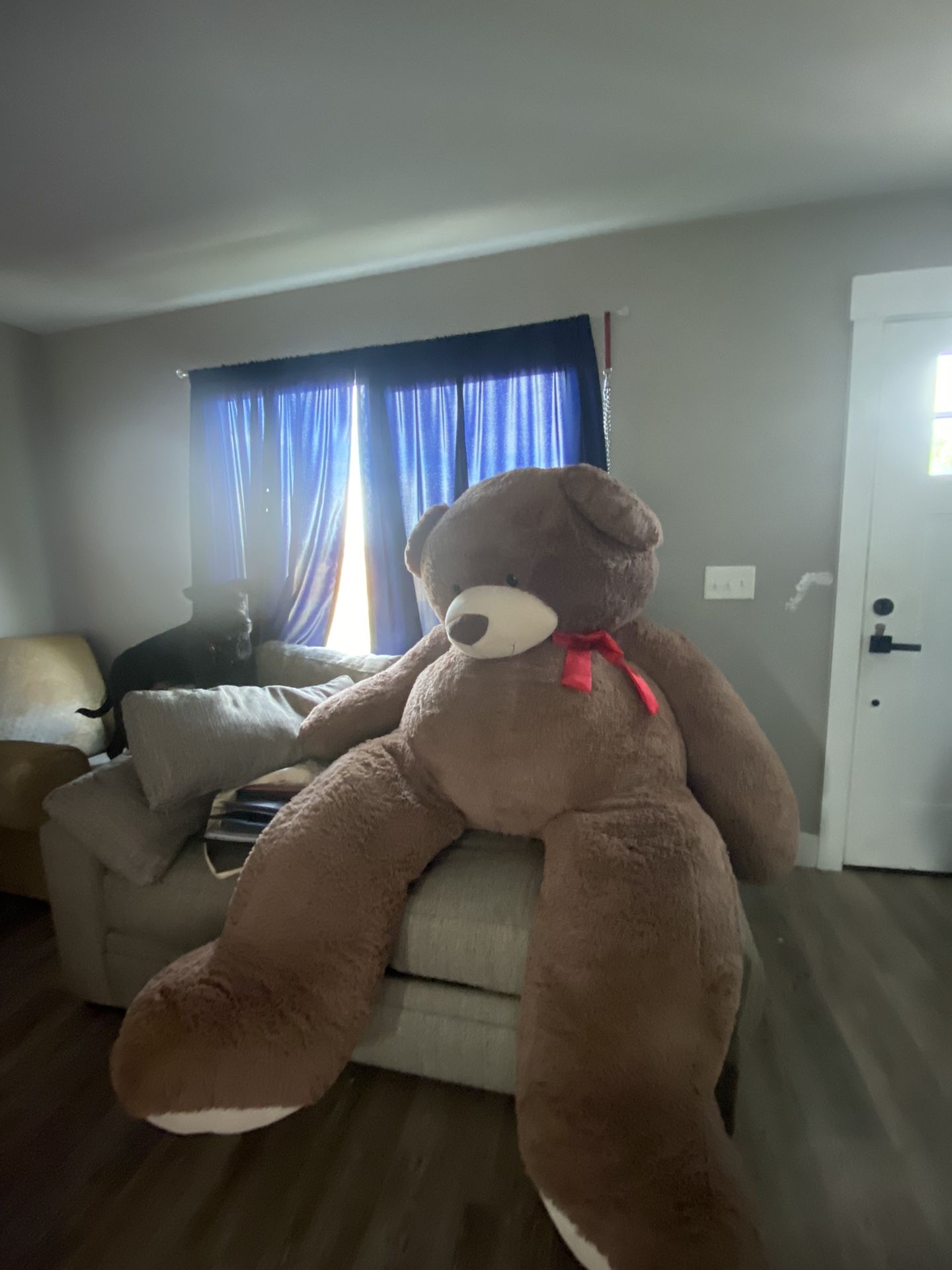 6’0 teddy bear