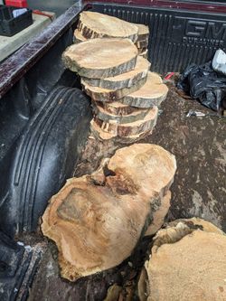 Old Maple Cookies Wood Rounds Live Edge Lumber