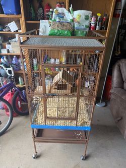 Parakeet stuff