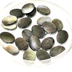 Tahitian Mother Of Pearl Shell Beads 