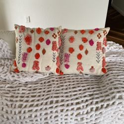 Anthropology Pillows