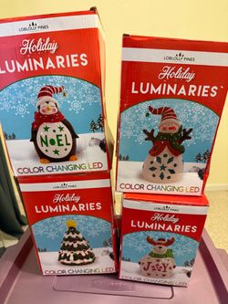 Loblolly Pines Holiday Luminaries Color Changing LED Set of 4