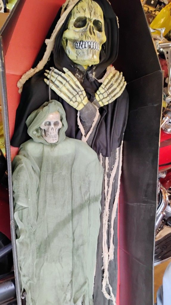 Cardboard Coffin Skeleton New 