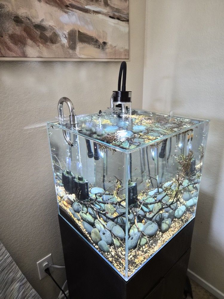 UNS 16 Gal Cube Aquarium and Stabd