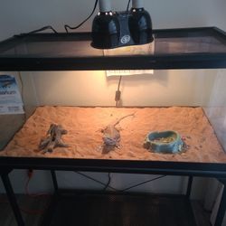 Tank 40 Gallon Breeder