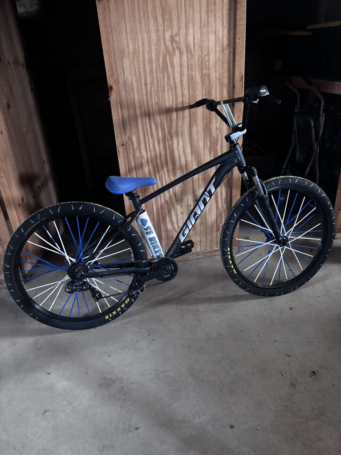 Giant SE Bike
