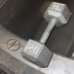 One Twenty Pound Dumbbell 