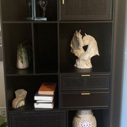 Lovely Black Cabinet/Storage/Display/bookcase