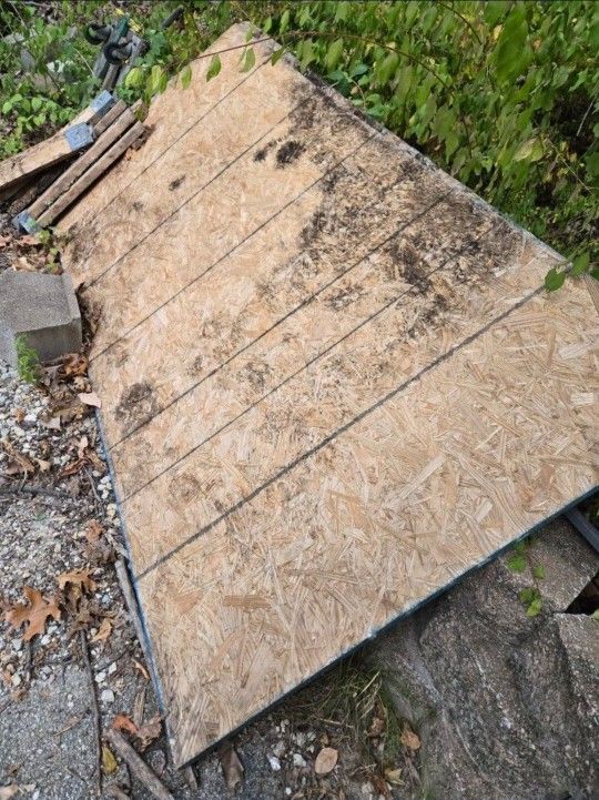 Free 4 Heavy Osb Boards