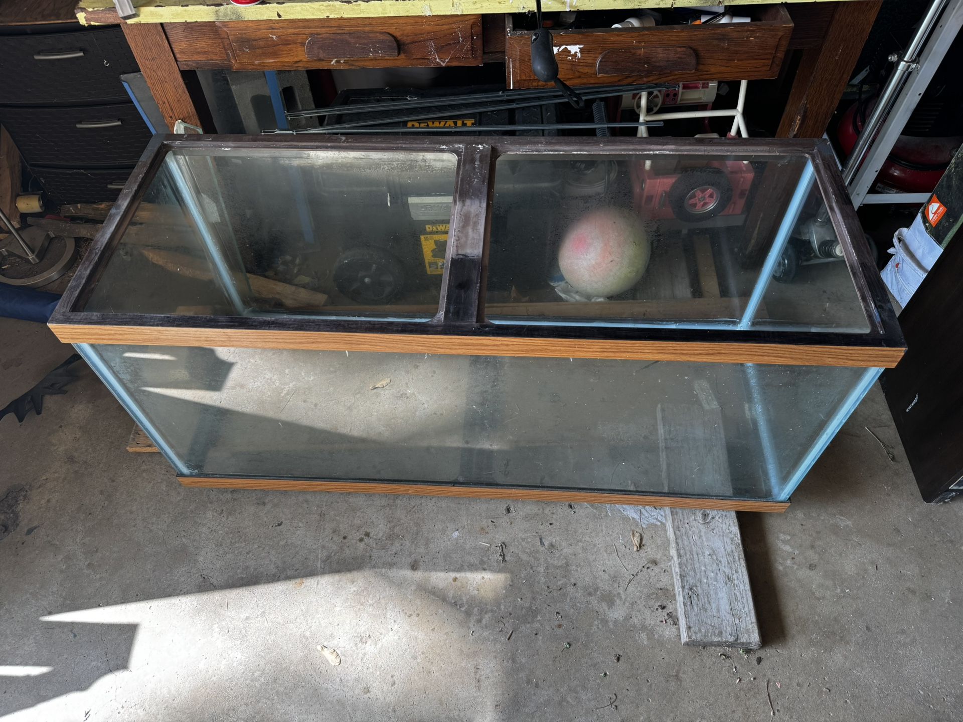 Big Fish Tank 48x18x21