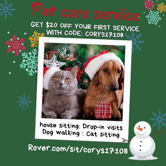 Holiday Special