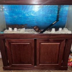 50 Gallon Fish Tank