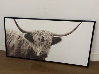 Cow picture