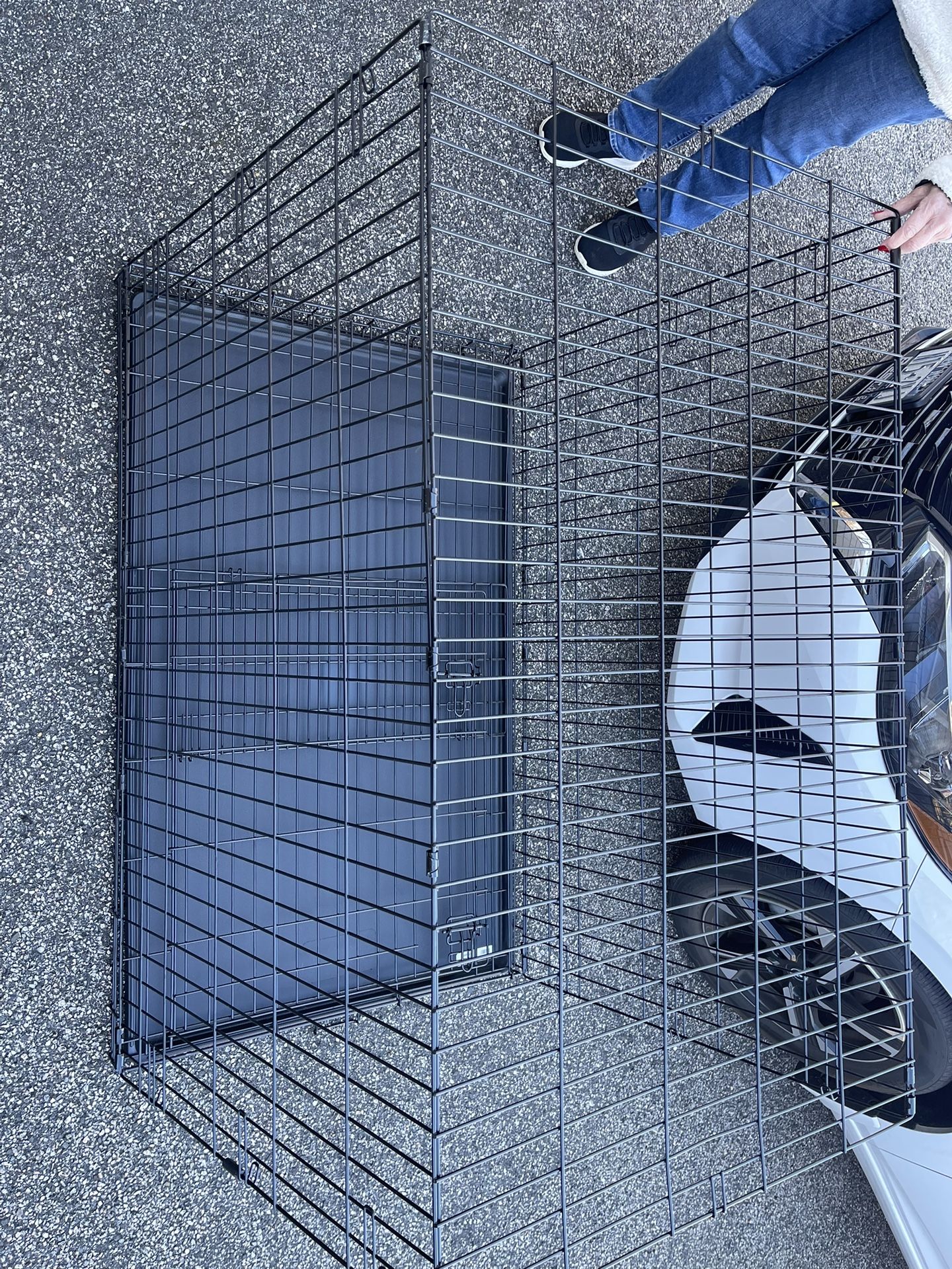 Big Dog Cage