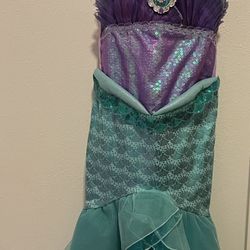Mermaid Costume $35Size 5-6