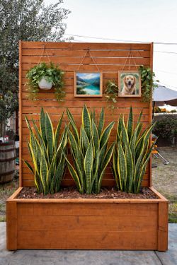 Trellis planter box