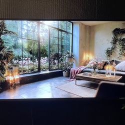 40” Vizio TV + Remote + Wall Mount