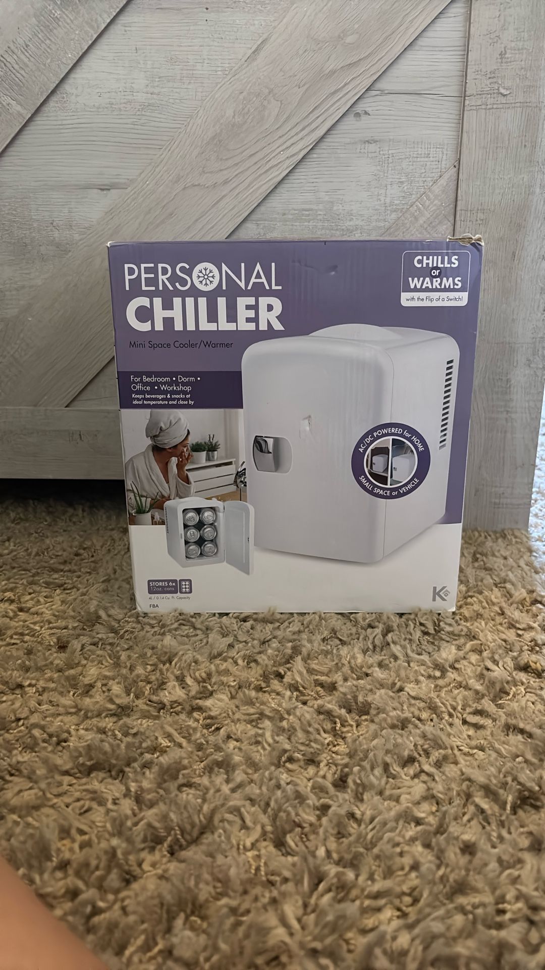 Mini Fridge