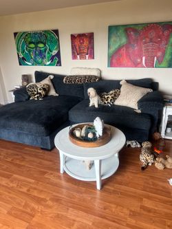 Free couch with lounger