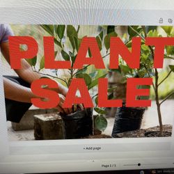 Plant Sale 7/10/20