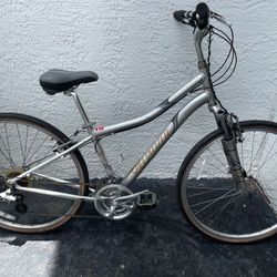 Specialized Cross Roads Bike 