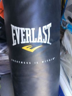 Everlast punching bag