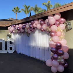 Party Decorations 