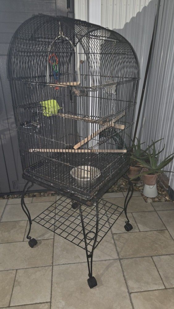 Jaula Negra Para Aves En Buenas Condiciones