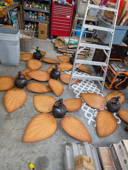 Ceiling Fans
